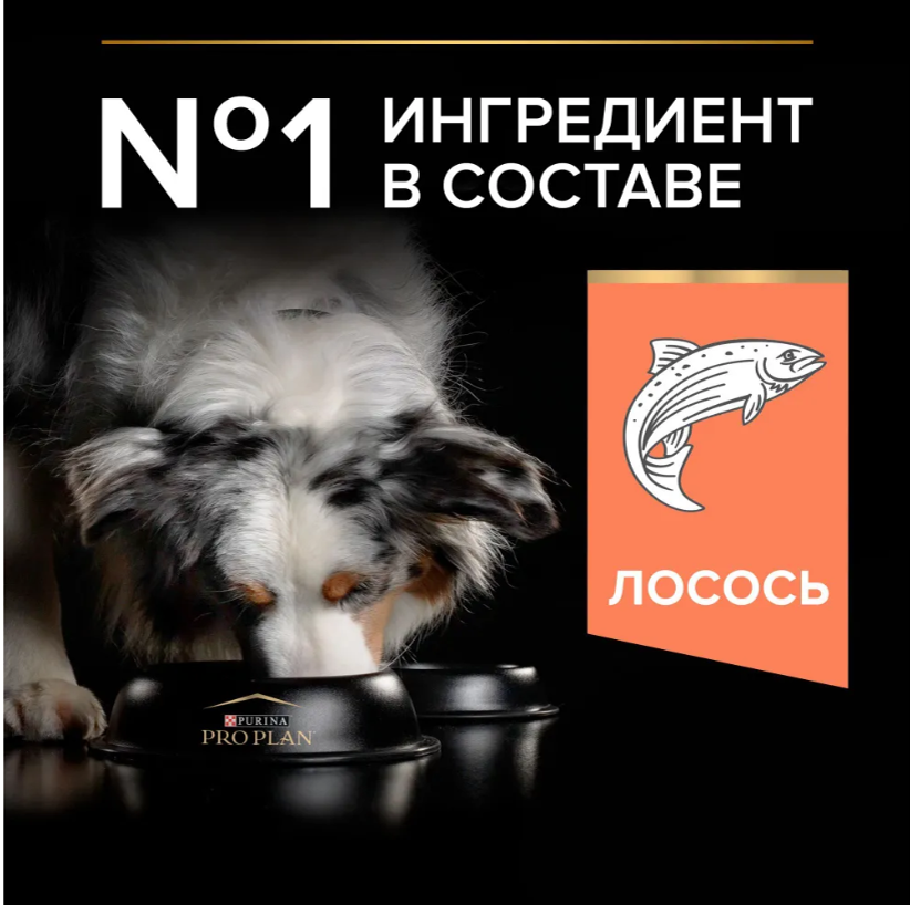 Корм Purina Pro Plan Duo Délice для взрослых собак с лососем и рисом 10 кг