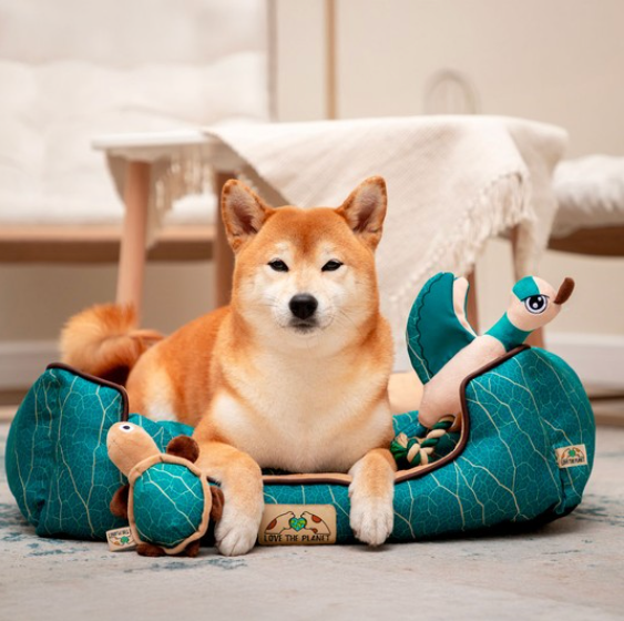 Лежанка прямоугольная "Клён" M, изумрудно-песочная, 610*460*180мм, серия LOVE THE PLANET