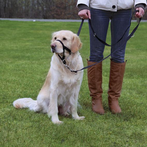 Намордник Trixie для собак тренировочный XL 49 см