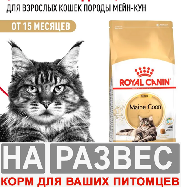 Корм Royal Canin Maine Coon Adult РАЗВЕСНОЙ для кошек мейн-кун 1 кг