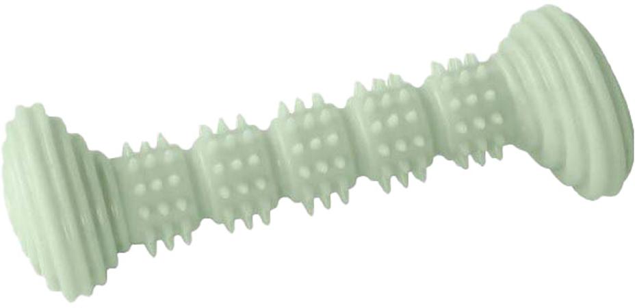Homepet Dental игрушка для собак, гантель с шипами, фисташковая, 14.2 см