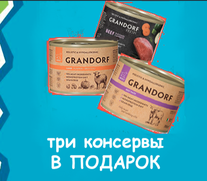 ВЫГОДНО Корм Грандорф ФРЕШ МАКСИ Лосось батат 10 кг для собак+ 3 консервы Грандорф в ПОДАРОК