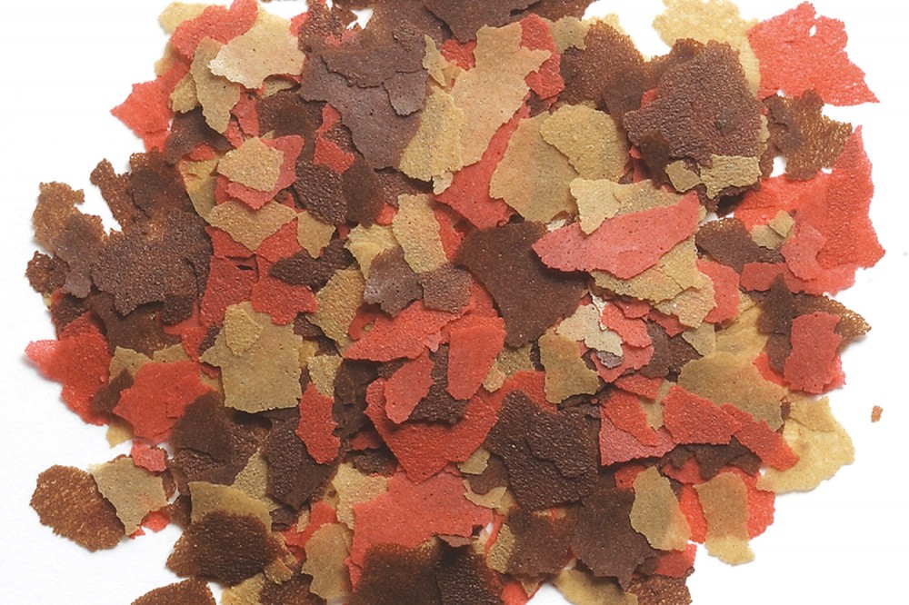 Tetra Goldfish Colour Flakes корм в хлопьях для улучшения окраса золотых рыб, 12 г