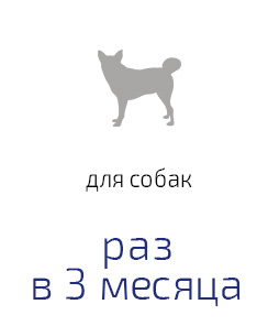 Препарат противопаразитный для собак и щенков Астрафарм Празител плюс средних и крупных пород 6таблеток