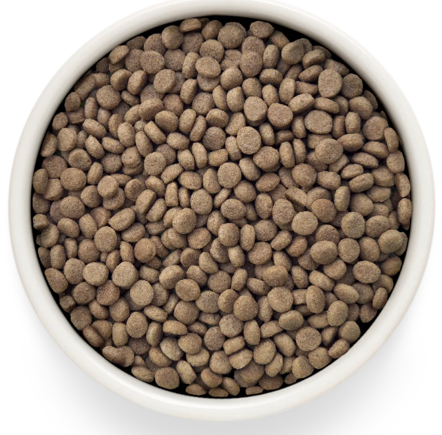 Корм Grandorf VET GASTROINTESTINAL MODERATE CALORI разработанный для лечения острых расстройств пищеварения и поддержки липидного обмена при гиперлипидемии для кошекn