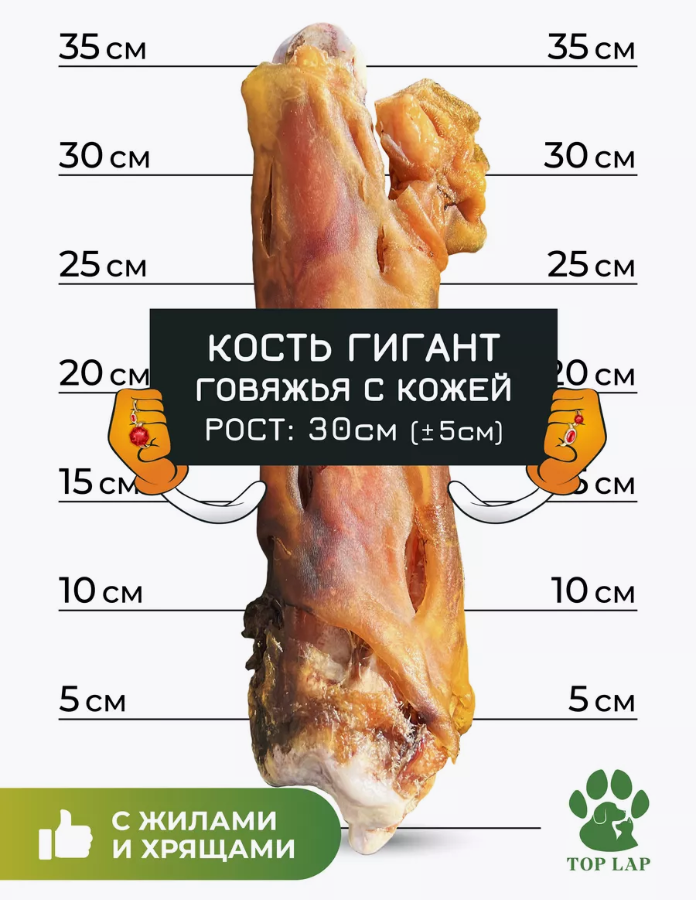 Кости говяжьи с жилами для собак Л 25-35 см