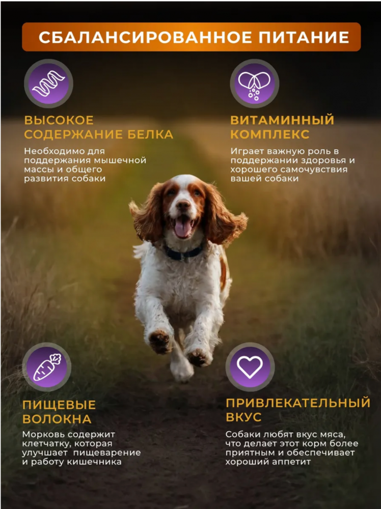 Корм Готовая Миска Мяснятино Говядина+морковь полнорационный для собак 300 г