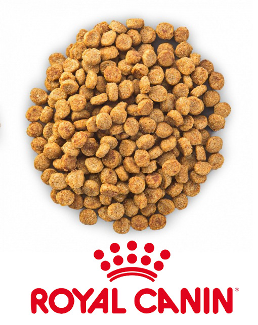 Корм для кошек РАЗВЕСНОЙ Royal Canin КЛУБ для кастрированных кошек и котов