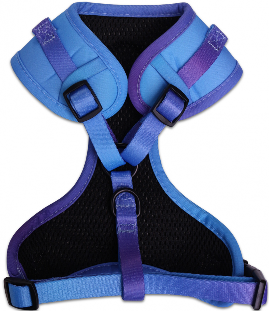 Шлейка LionPets LP-2401-6 (Размер XS обхват груди 34-48 см, шея 29-36 см)