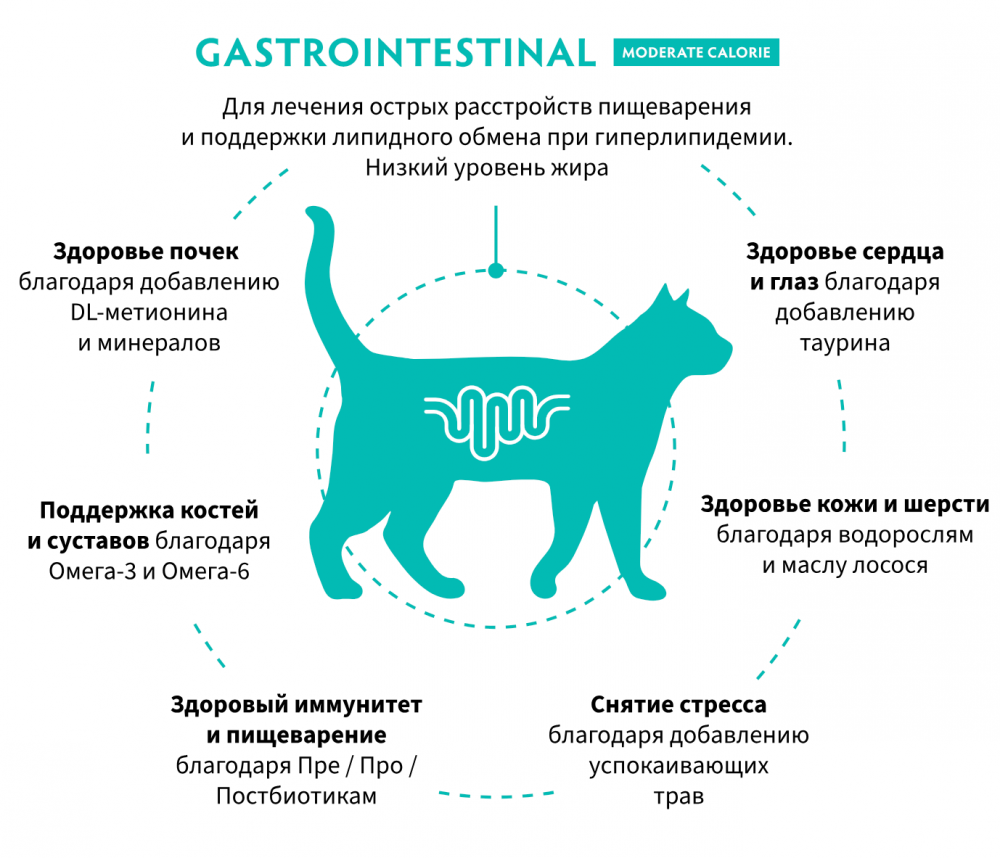 Корм Grandorf VET GASTROINTESTINAL MODERATE CALORI разработанный для лечения острых расстройств пищеварения и поддержки липидного обмена при гиперлипидемии для кошекn