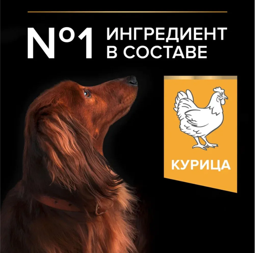 Корм Purina Pro Plan для взрослых собак малых и карликовых пород с курицей и рисом