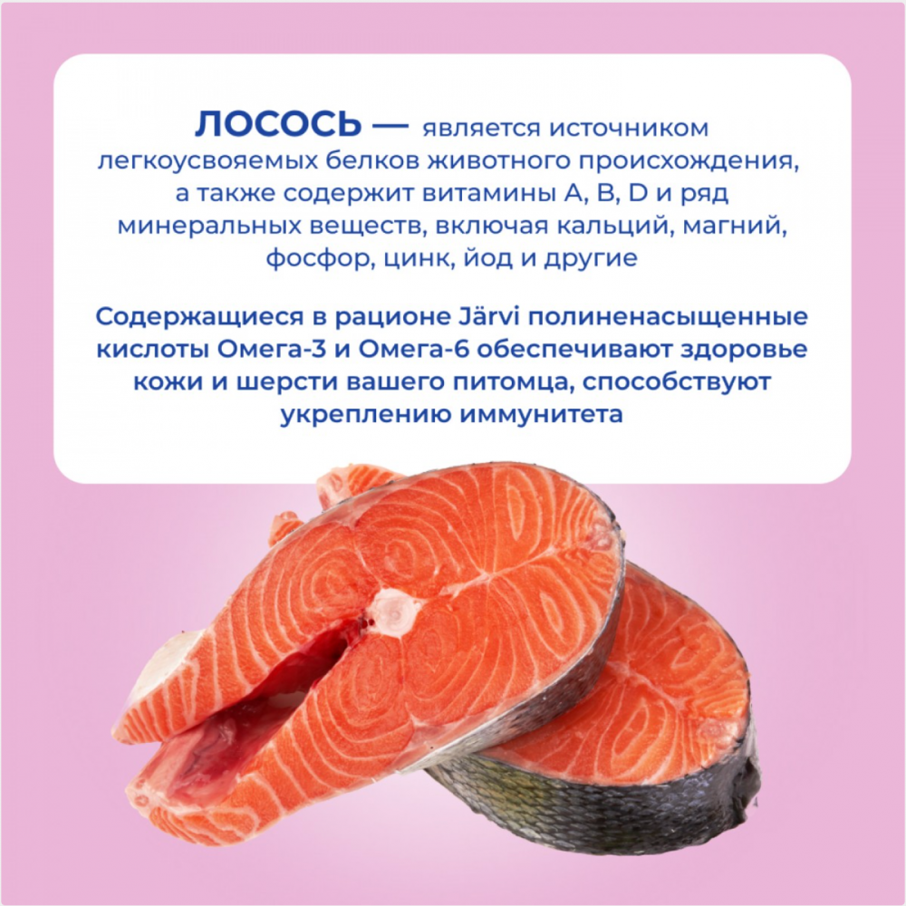 Консерва Jarvi Экстра Мит Скин Лосось (пауч) красивой шерсти и здоровой кожи для кошек 85 г: ЖЕЛЕ
