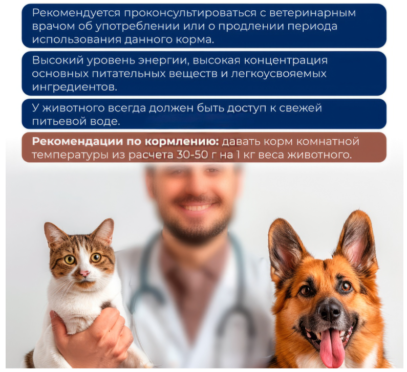Корм Original Choice Vetdiet Gastrointestinal Holistic (паштет) для кошек с чувствительным пищеварением, 240 г