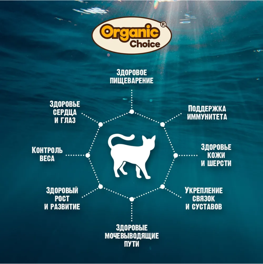 Корм Organic Choice Grain Free (паучи.) для кошек, беззерновой, тунец в соусе, 70 г