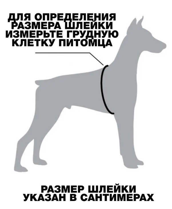 Анатомическая шлейка-жилетка MARLI, размер L, обхват груди 48-56 см