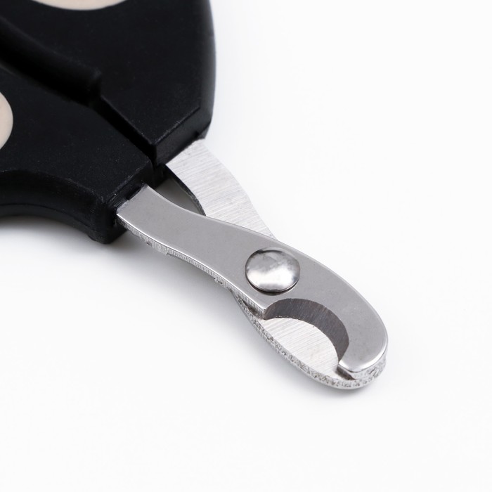 Ножницы-когтерезы &quot;Пижон&quot; Premium с эргономичной ручкой, отверстие 8 мм,МИКС цвет