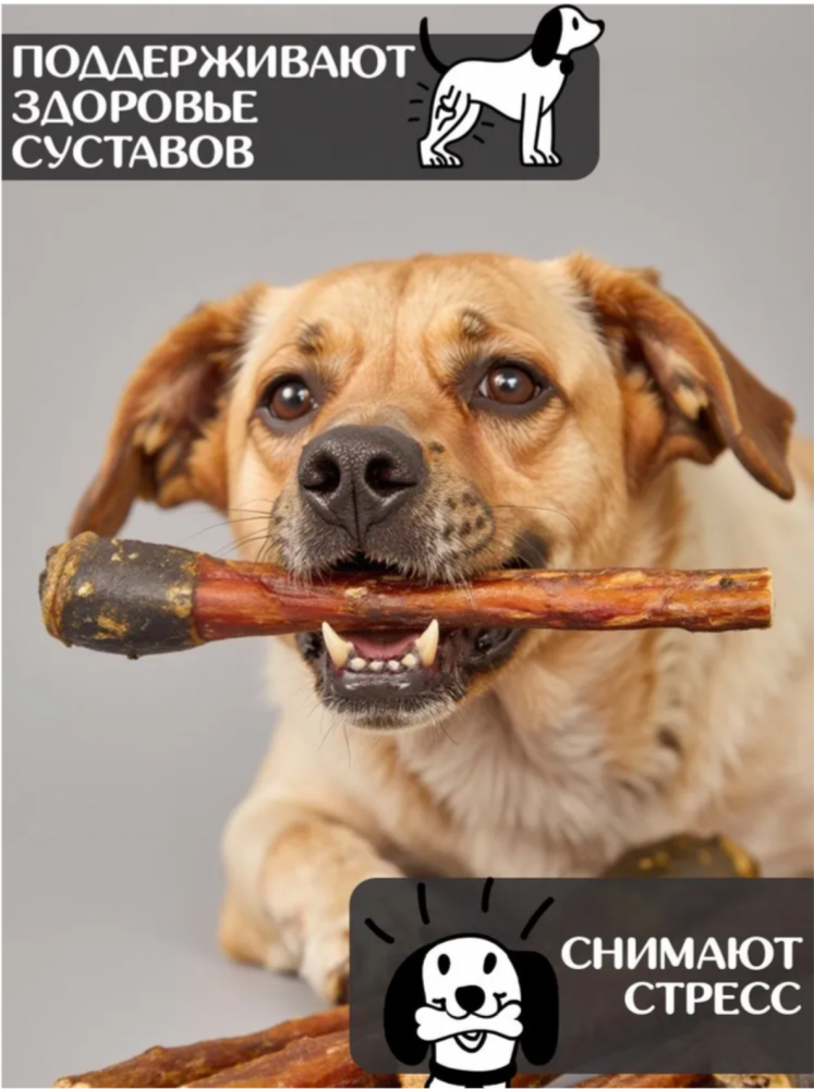 Лакомства Фор Родент Дог КОНСКИЙ корень КРУПНЫЙ 50 см 1000 г УПАКОВКА