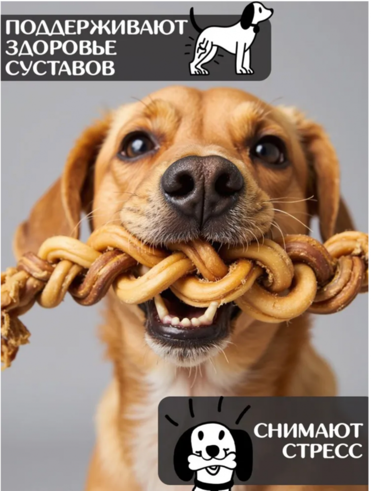 Лакомства Фор Родент Дог БАРАНИЙ корень КОСИЧКА 1 шт